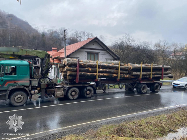 На Мукачівщині затримали фуру з нелегальною деревиною (ФОТО)