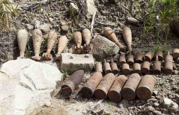 В лісі поблизу Ужгорода виявили сховок з мінами та гранатами