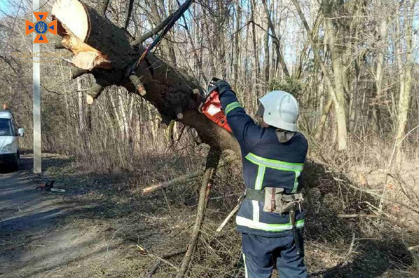 Рятувальники Вінниччини сьогодні вже 9 разів виїжджали на деблокування автошляхів через падіння дерев                    
