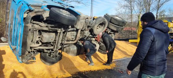  Вантажівка їхала з Тернополя до Македонії: подробиці нічної ДТП на Мукачівщині 