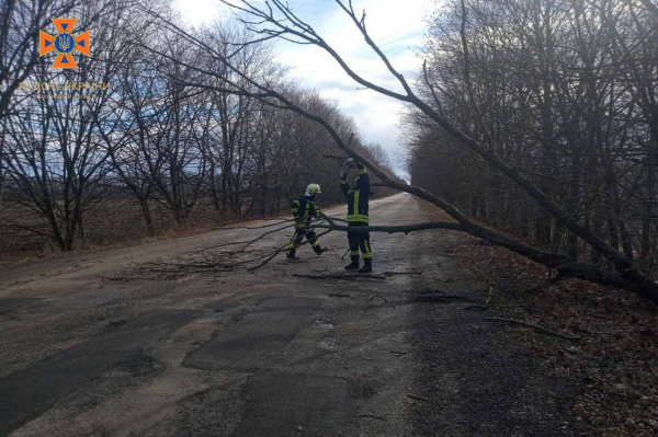 Рятувальники Вінниччини сьогодні вже 9 разів виїжджали на деблокування автошляхів через падіння дерев                    
