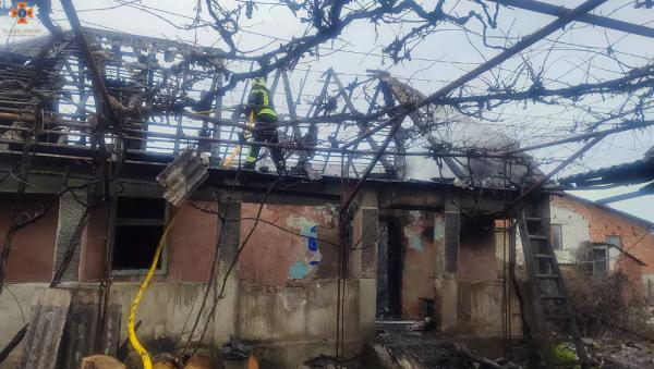  Жінку винесли з палаючого будинку: у Малій Копані трапилася пожежа 