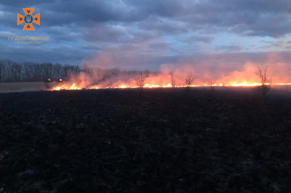 На Вінниччині вогонь завдав шкоди природному середовищу на площі понад 13 га                    
