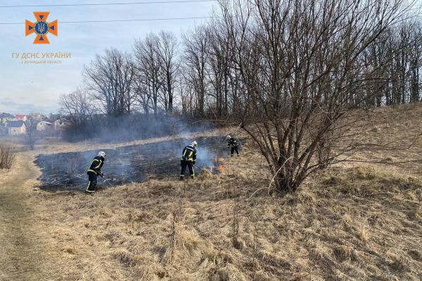 На Вінниччині вогонь завдав шкоди природному середовищу на площі понад 13 га                    
