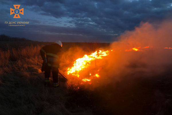 На Вінниччині вогонь завдав шкоди природному середовищу на площі понад 13 га                    
