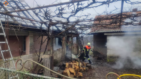  Жінку винесли з палаючого будинку: у Малій Копані трапилася пожежа 