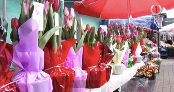  Вартість тюльпанів та попит: як в Мукачеві святкуватимуть 8 березня цьогоріч (ВІДЕО) 