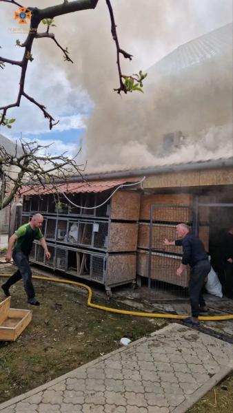  Великодня не обійшлося без пожеж: на Мукачівщині через піч загорівся будинок 