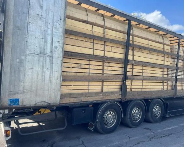  На Закарпатті митники викрили схему незаконного вивезення за межі України лісоматеріалів 