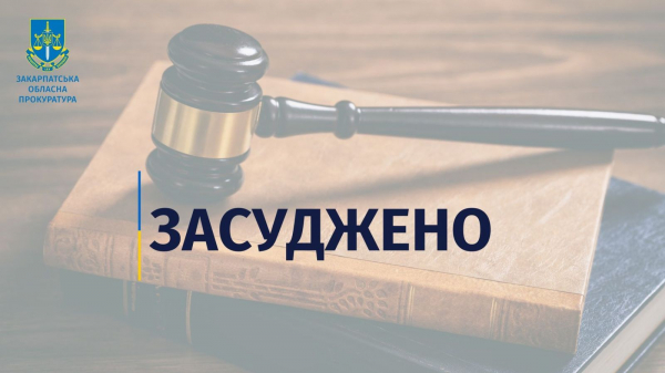  Крадіжки на понад пів мільйона гривень та незаконне зберігання вдома зброї та боєприпасів: мешканця Мукачівщини засудили до 6 років ув’язнення 