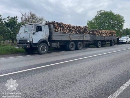  На Закарпатті затримали водія, який перевозив деревину із порушеннями 