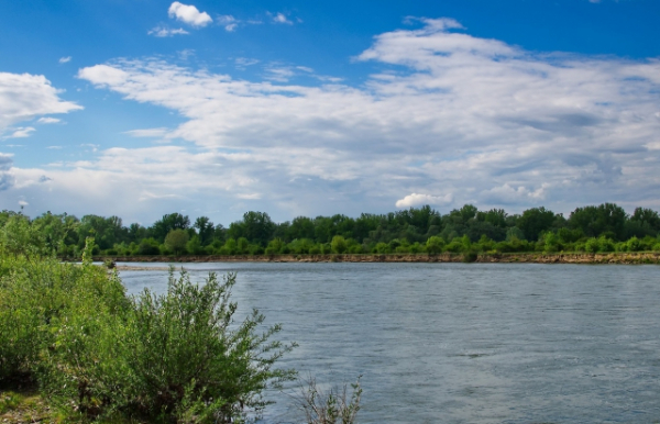 Водолази шукають тіло людини у Боржаві на Берегівщині