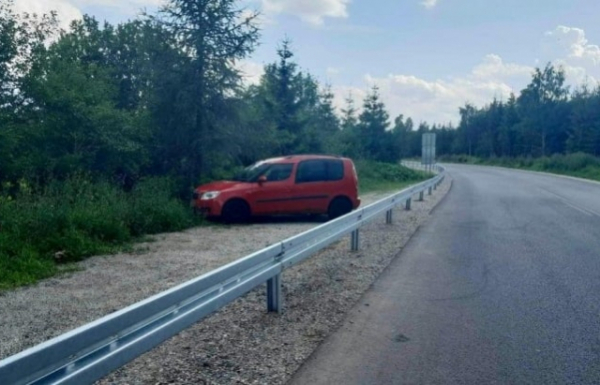 Суворі словацькі дорожники: поки іноземець милувався горами його авто опинилося за відбійниками (ФОТО)