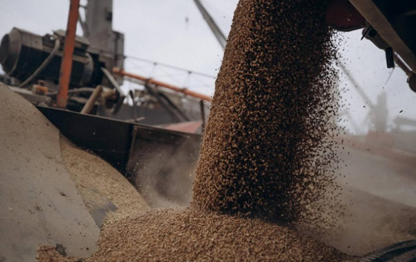 В НБУ назвали втрати від припинення зернової угоди