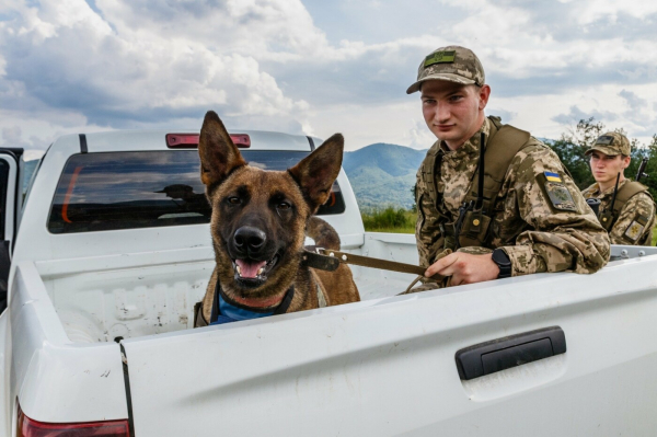  Бельгійська вівчарка Дейзі проходить службу в одній з найвищих точок Чопського загону 