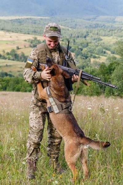  Бельгійська вівчарка Дейзі проходить службу в одній з найвищих точок Чопського загону 