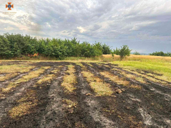 Минулої доби закарпатці спалили майже 4 гектари родючої землі