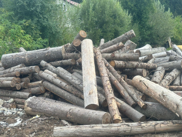На Рахівщині поліцейські вилучили з підпільного цеху партію нелегальної деревини: відкрито кримінальне провадження На Рахівщині поліцейські вилучили з підпільного цеху партію нелегальної деревини: відкрито кримінальне провадження