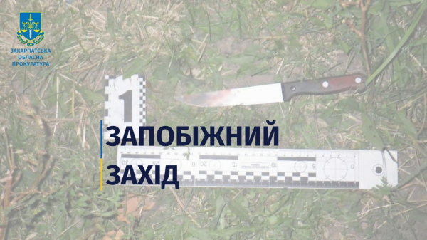  На Мукачівщині підозрюваного у намаганні вбити родича взяли під варту без визначення застави 