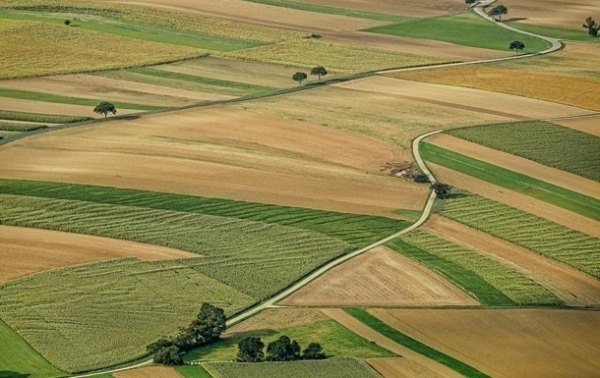 В Україні продано 365 тис. га землі