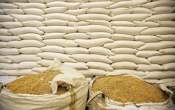 Україна експортувала 6 млн тонн зернових