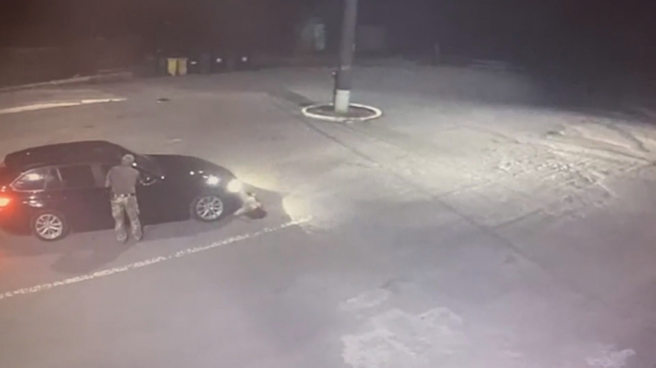  Конфлікт на закарпатському кордонні: вагітна 29-річна жителька Чехії влаштувала скандал через затримання її чоловіка (ВІДЕО) 