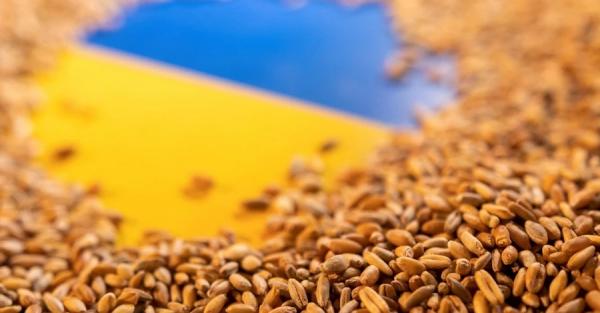 На пропозицію України щодо зерна з п'яти країн-сусідів поки що відповіла лише Румунія