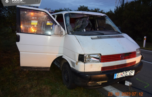 Незвична аварія: У Словаччині лань пробила лобове скло і опинилася на задніх сидіннях (ФОТО)