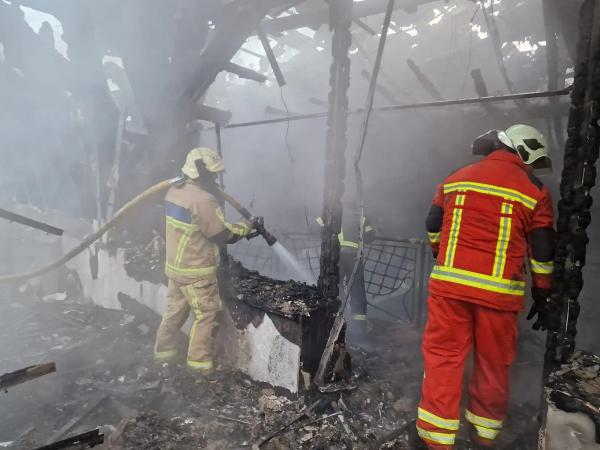  Постраждалих немає: рятувальники ліквідували пожежу на площі 500 кв.м на території санаторію у Синяку 