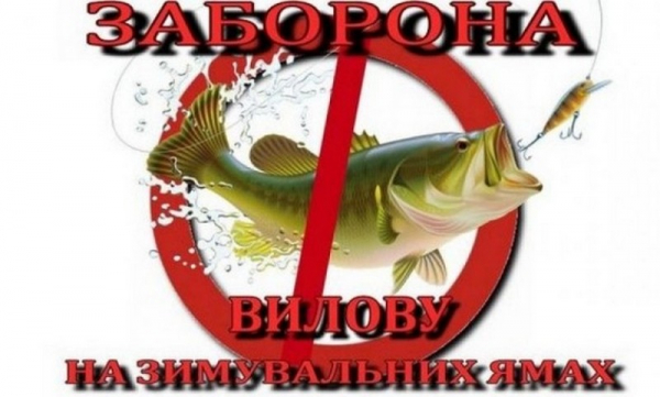  З 1 листопада на Закарпатті стартує заборона на лов риби на зимувальних ямах 