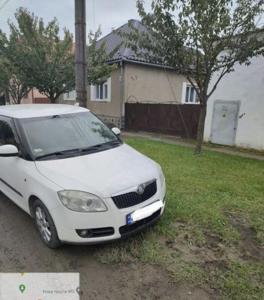 В Мукачеві покарали чергових водіїв, які припаркувалися на зеленій зоні