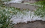 У Карпатах падає перший сніг (ФОТО, ВІДЕО)