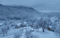 Фото дня: Гори на Ужгородщині засипало снігом (ФОТО)