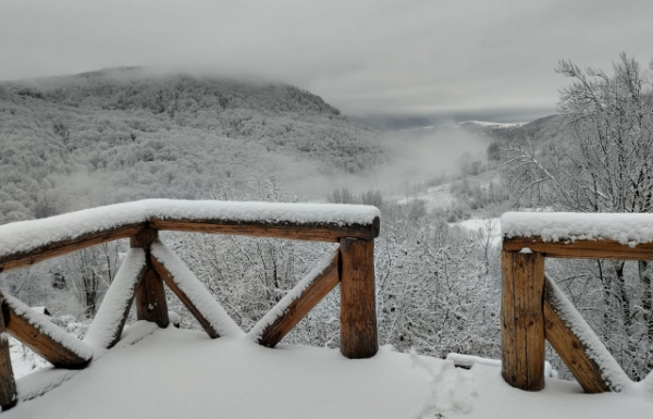 Фото дня: Гори на Ужгородщині засипало снігом (ФОТО)