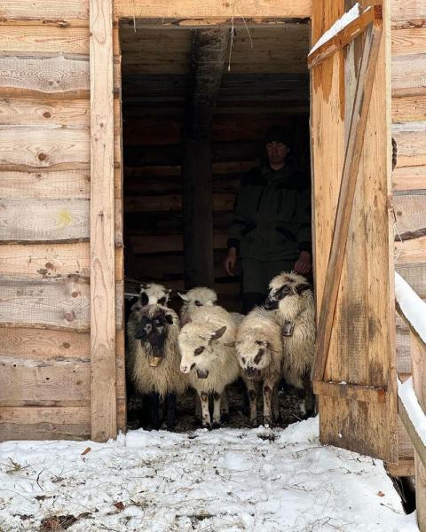 Дорофєєва показала відпочинок з Кацуріним, каміном, чаєм і засніженими горами