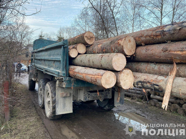  На Рахівщині поліція зафіксувала злочин проти довкілля: вилучено понад 40 кубометрів нелегальної деревини 