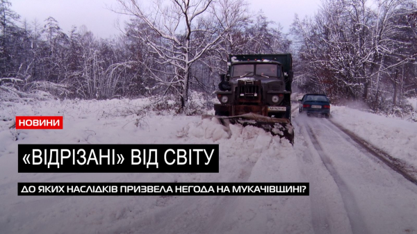  Знеструмлені населені пункти та повалені дерева: наслідки негоди на Мукачівщині (ВІДЕО) 