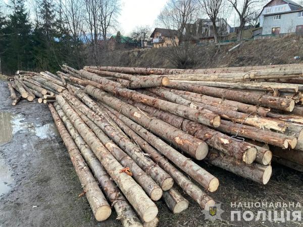  На Рахівщині поліція зафіксувала злочин проти довкілля: вилучено понад 40 кубометрів нелегальної деревини 