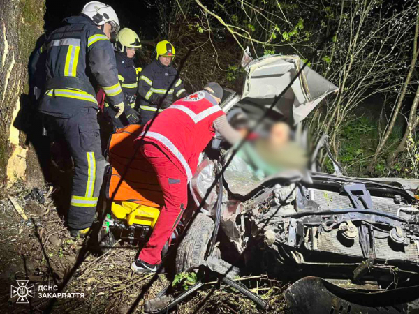  Водія та пасажирку госпіталізували: подробиці нічної ДТП на Хустщині 