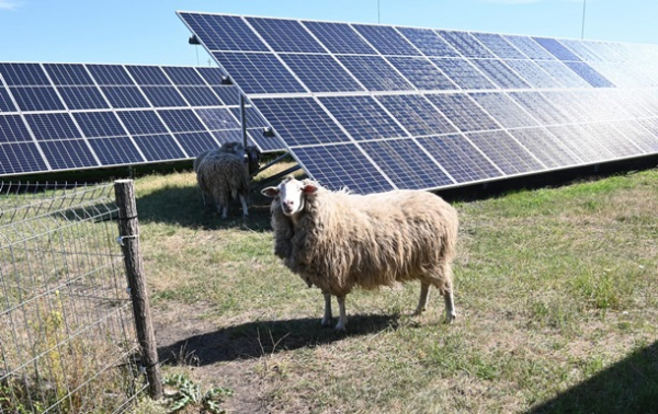 Молдова добула з відновлюваних джерел рекордну кількість електроенергії Молдова добула з відновлюваних джерел рекордну кількість електроенергії