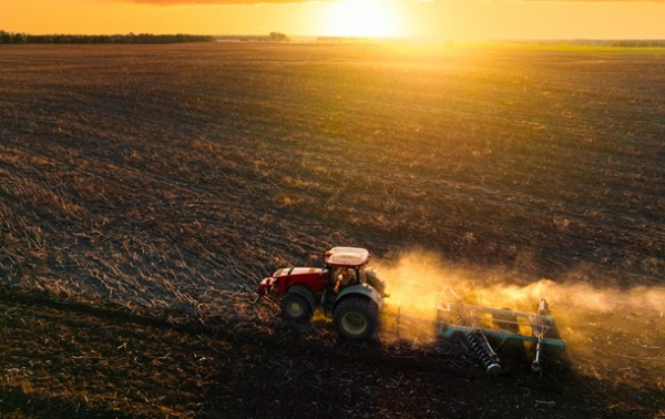 Весняна сівба: аграрії виконали 97% плану Весняна сівба: аграрії виконали 97% плану