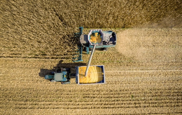В Україні обмолочено 73% зернових площ В Україні обмолочено 73% зернових площ