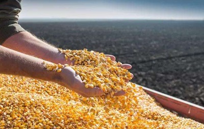 Україна наростила експорт агропродукції Україна наростила експорт агропродукції