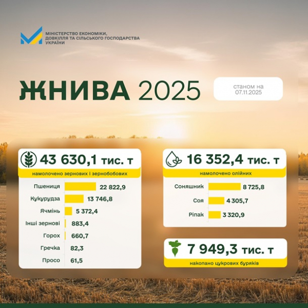 В Україні намолотили 43,6 млн тонн зерна
