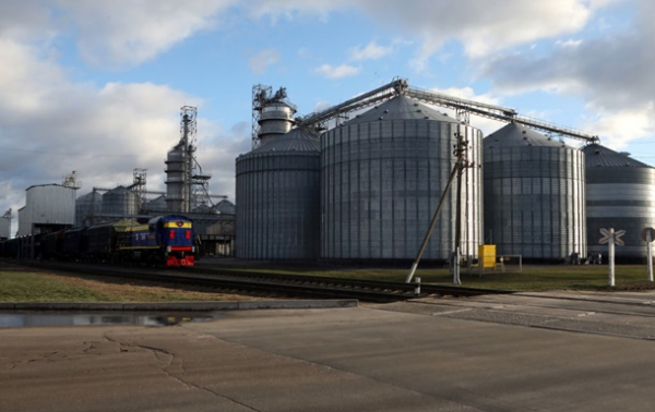 В Україні зібрали майже 60 млн тонн зерна