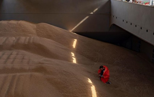 Польща пожалілася в Раду ЄС на агроімпорт з України - ЗМІ