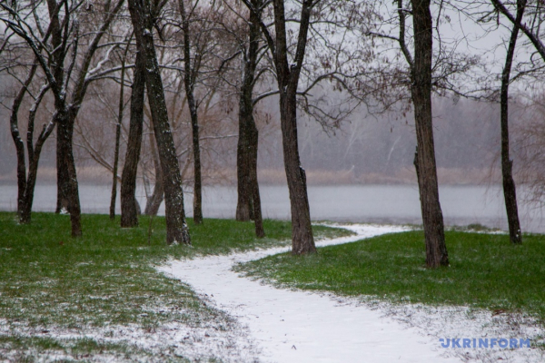 Посівна-2026: &laquo;холодний&raquo; старт і зростання витрат