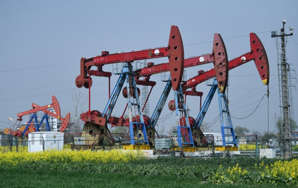 Ціни на нафту падають через переговори Ірану та Оману Ціни на нафту падають через переговори Ірану та Оману
